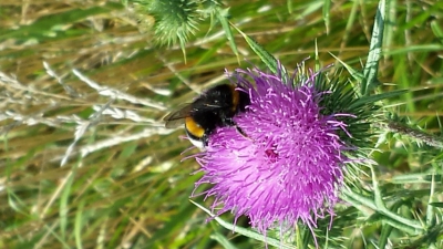 Klik hier om het gehele fotoalbum te bekijken